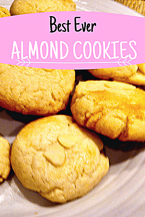 Easy Almond Cookies Organized Island