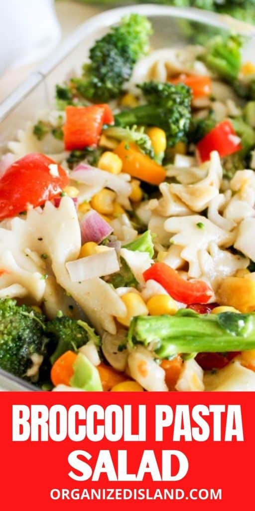 Easy Broccoli Pasta Salad - Organized Island