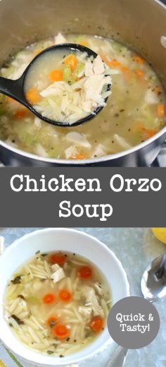 Chicken Orzo Soup - Organized Island