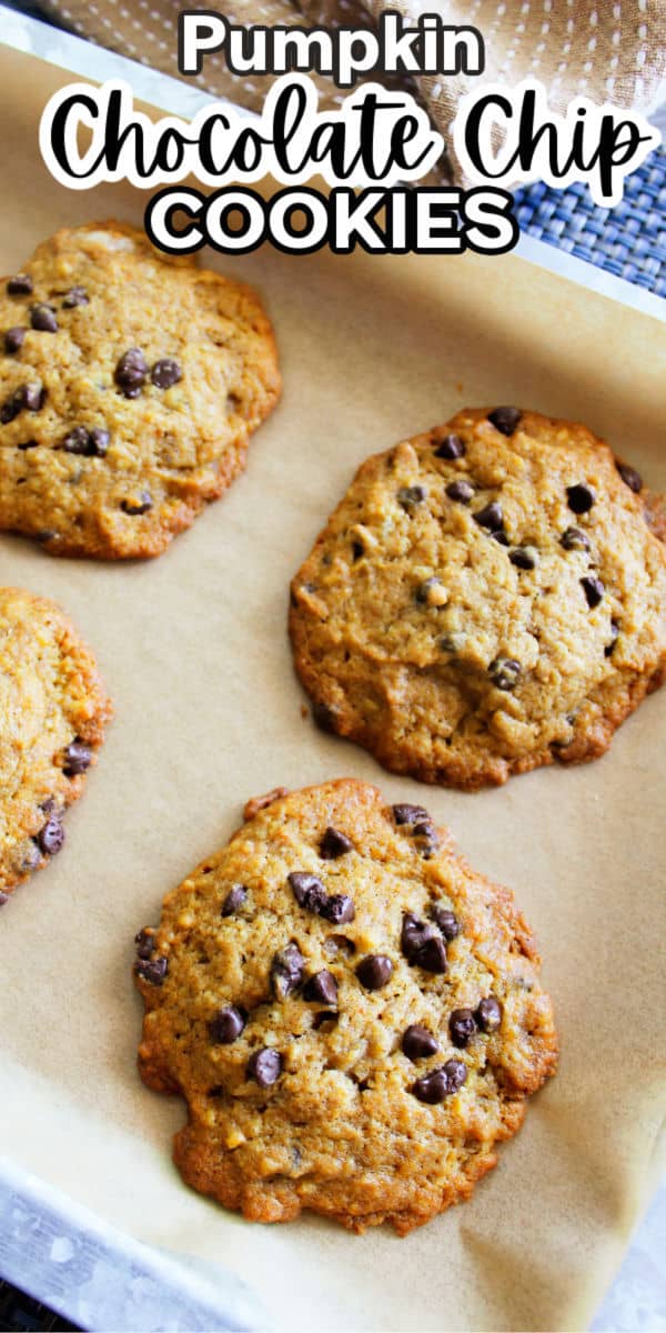 Pumpkin Chocolate Chip Cookie Recipe - Organized Island