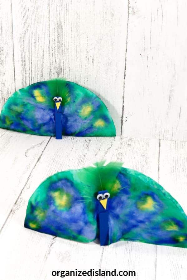 13 Colorful Peacock Crafts You Need to Make this Weekend