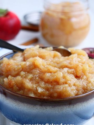 Easy Homemade Applesauce in bowl. Quick Recipe