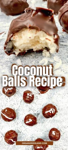 Coconut Balls - Organized Island