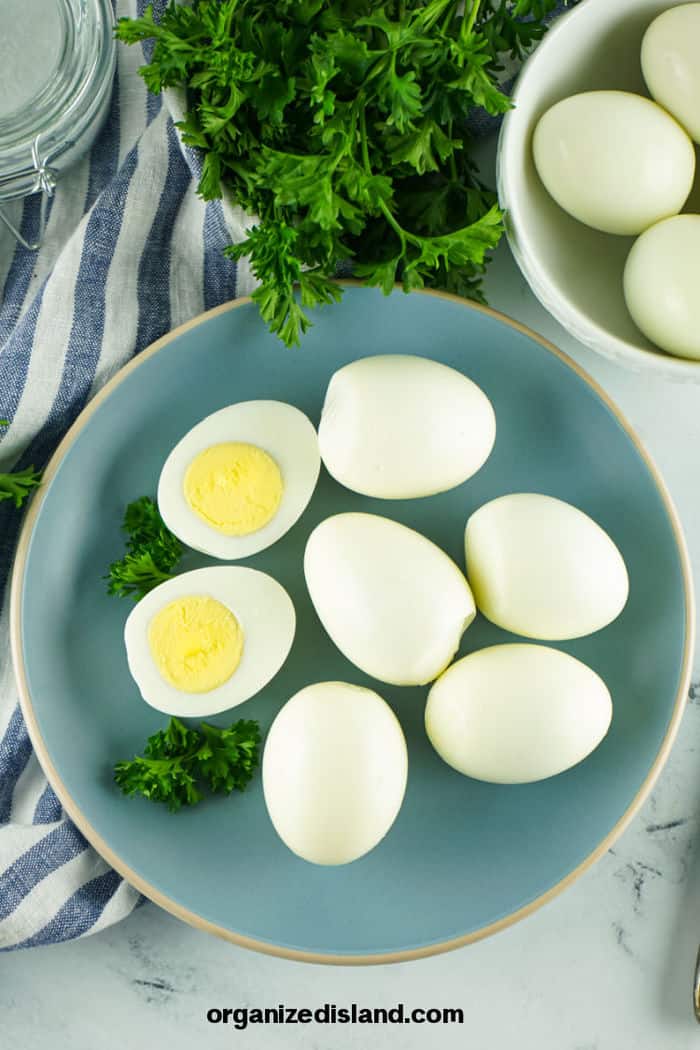 Instant Pot Steamed Eggs