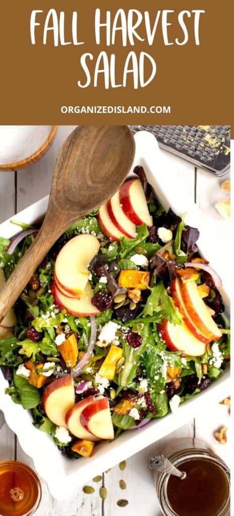 Fall Harvest Salad with Apple Cider Vinaigrette Dressing, Recipe