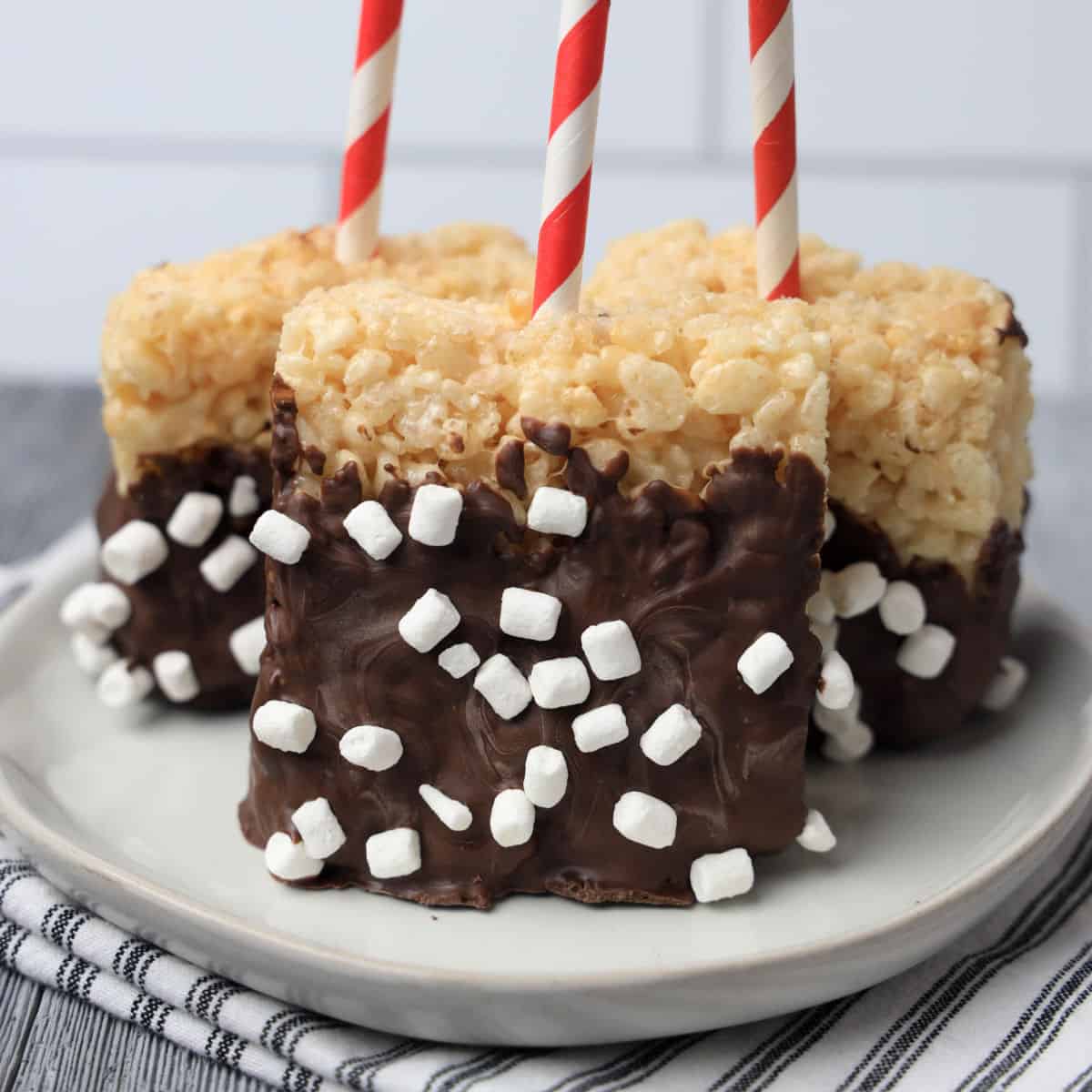 Blog: Chocolate-Dipped Rice Krispies Treats on a Stick
