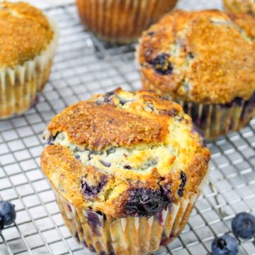 Jumbo Blueberry Muffins Recipe