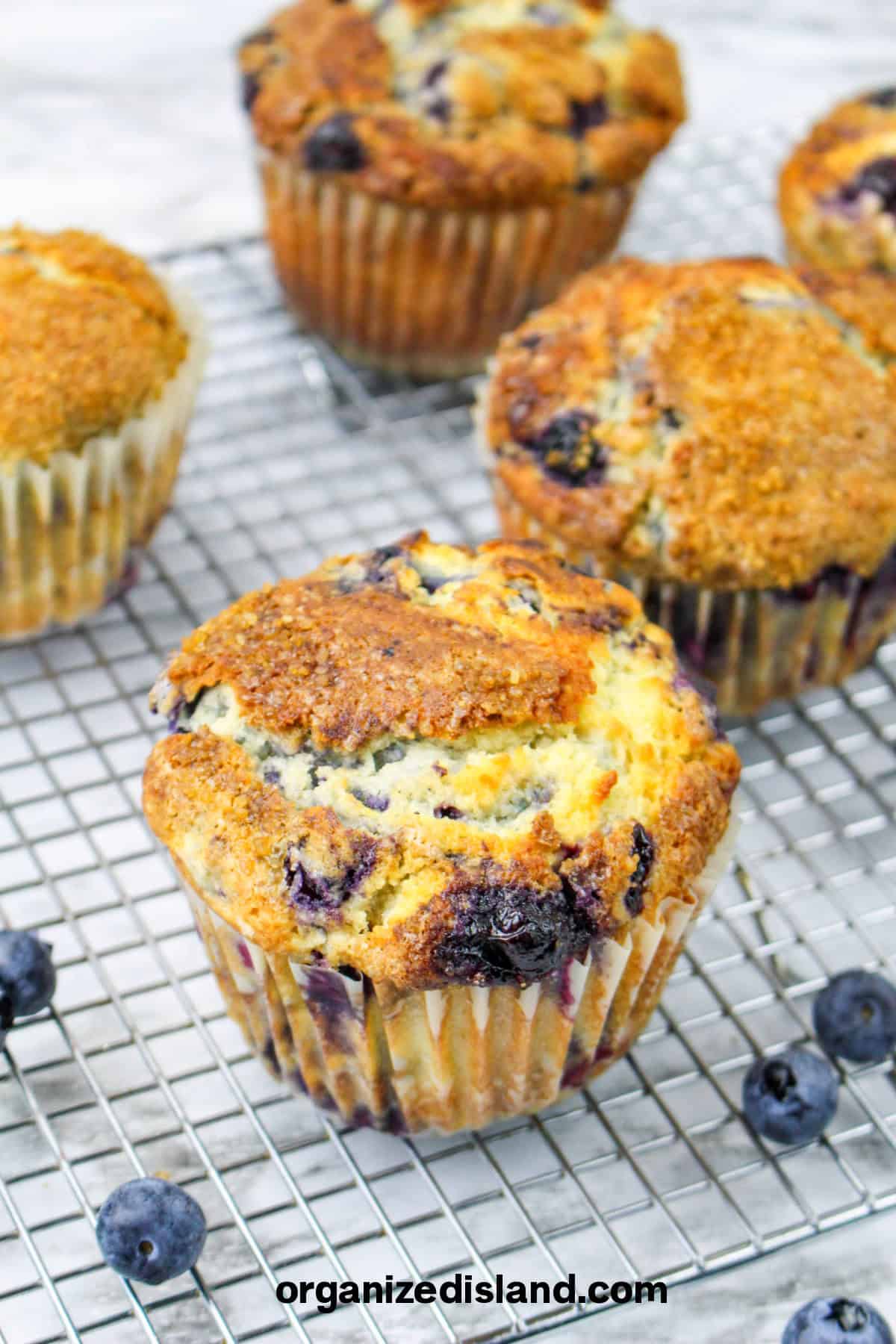 Jumbo Blueberry Muffins Recipe