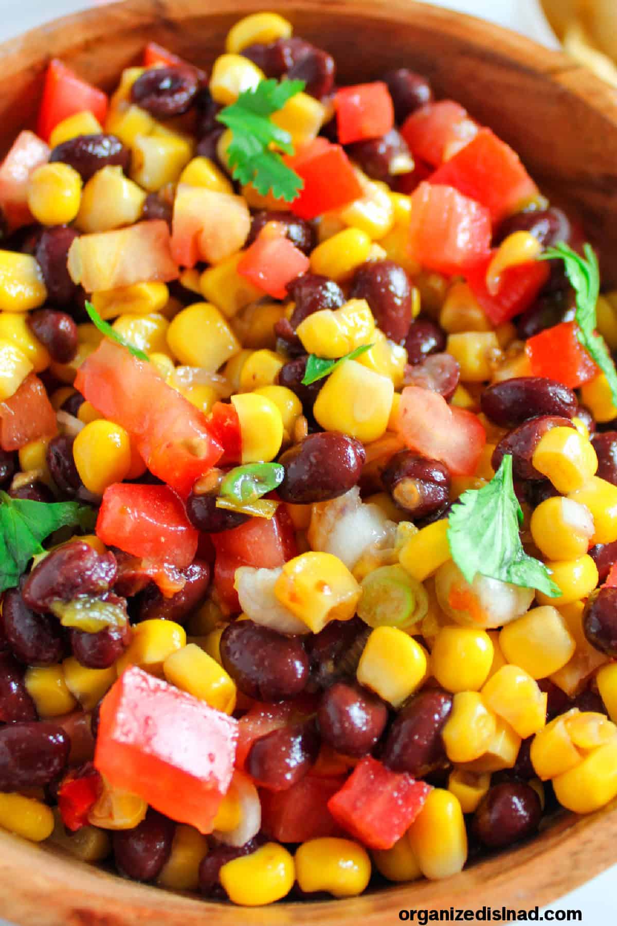 Black Bean and Corn Salsa Recipe_