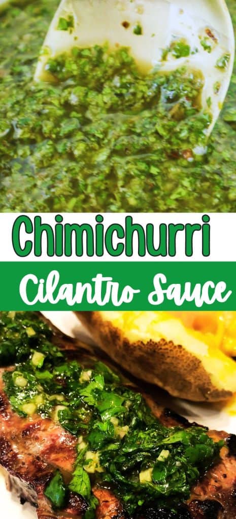 Chimichurri Cilantro Sauce