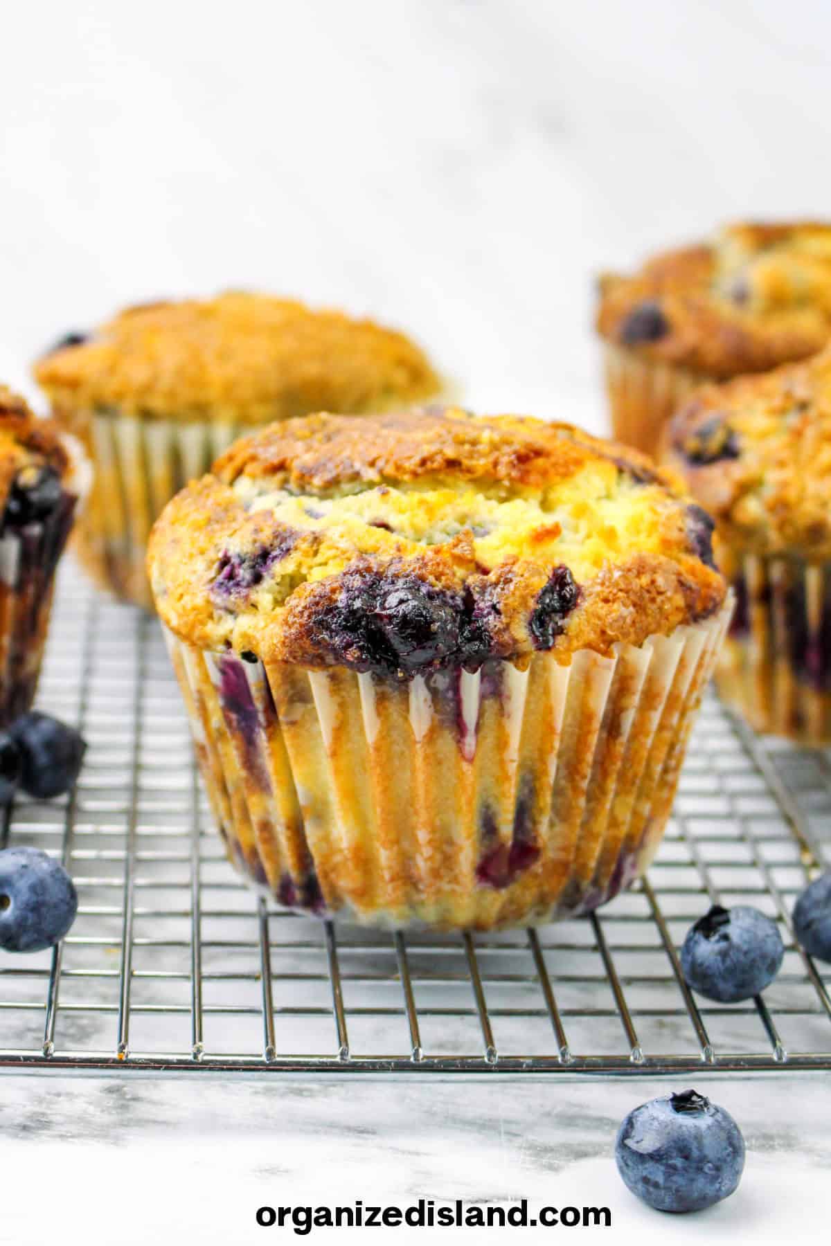 Jumbo Blueberry Muffins