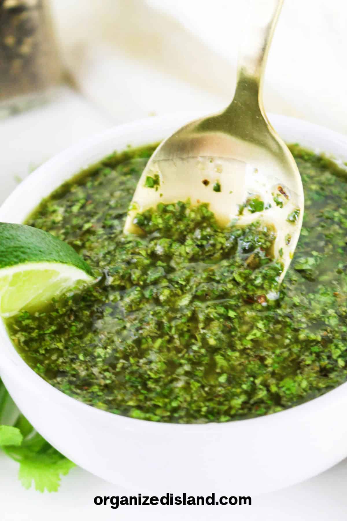 Chimichurri Cilantro Sauce