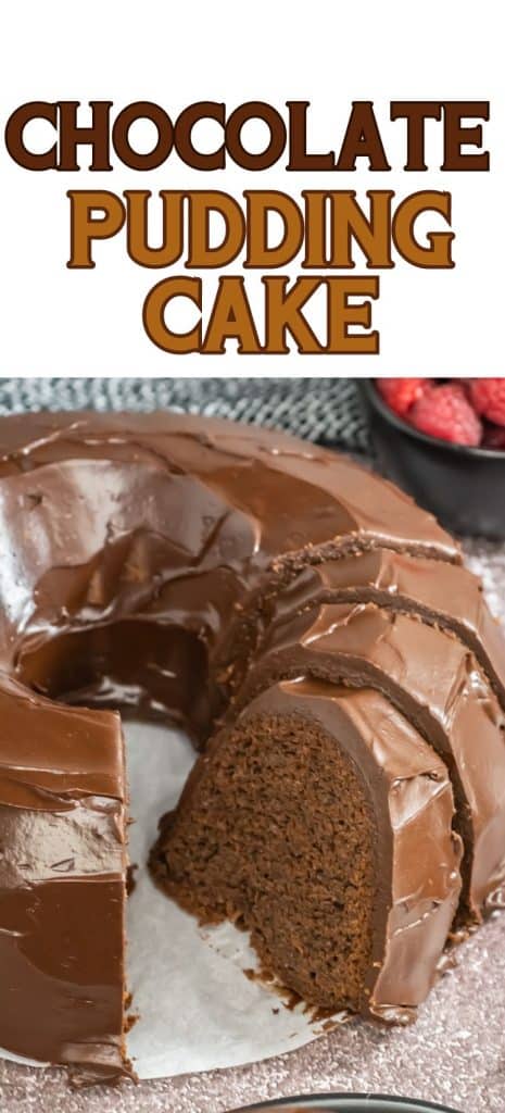 Chocolate Pudding Cake