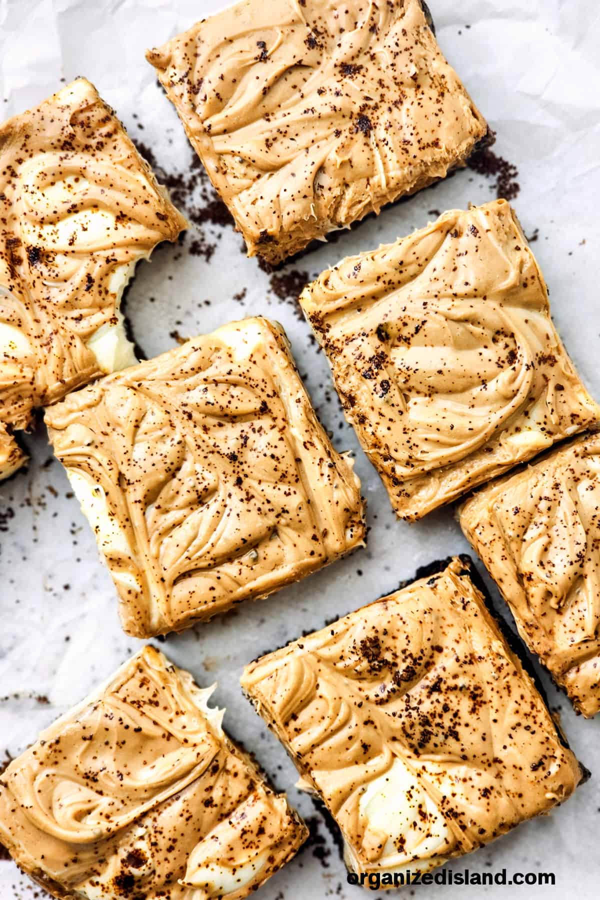 Chocolate Swirl Cheesecake Bars