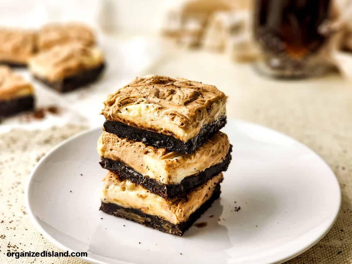 Chocolate Swirl Cheesecake Landscape