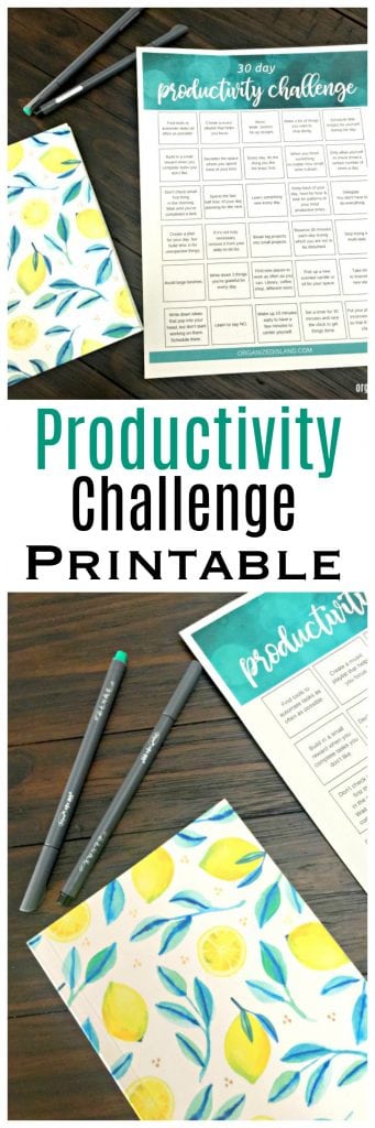 Productivity Challenge Printable 